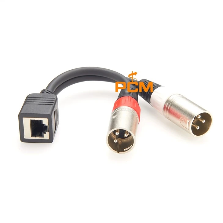 RJ45 Female To Double 3-Pin XLR Plug Cable